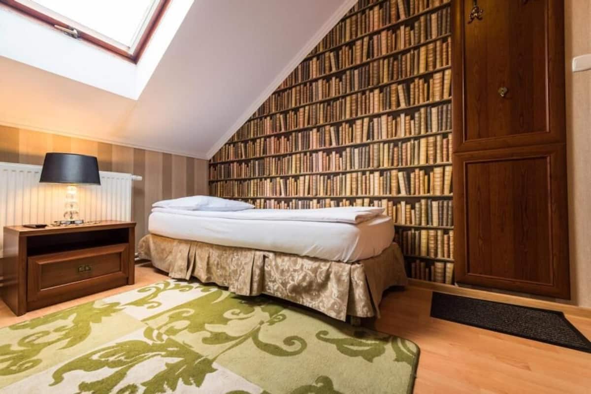A bedroom with a skylight, a bookshelf, a bed, a nightstand, and a patterned rug.