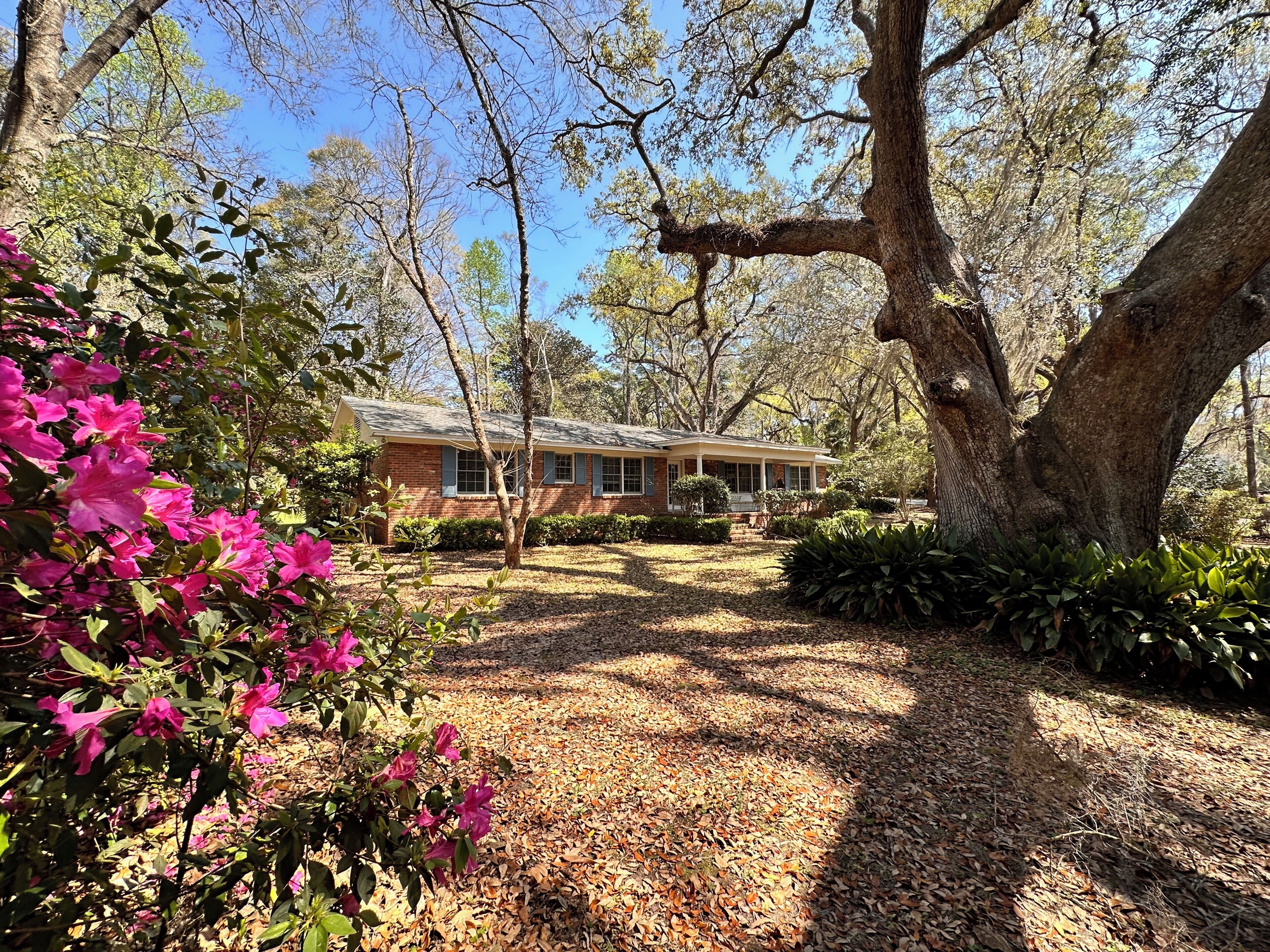A house surrounded by trees and shrubs, with a clear sky.