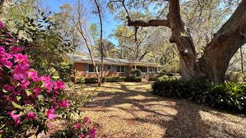 A house surrounded by trees and shrubs, with a clear sky.