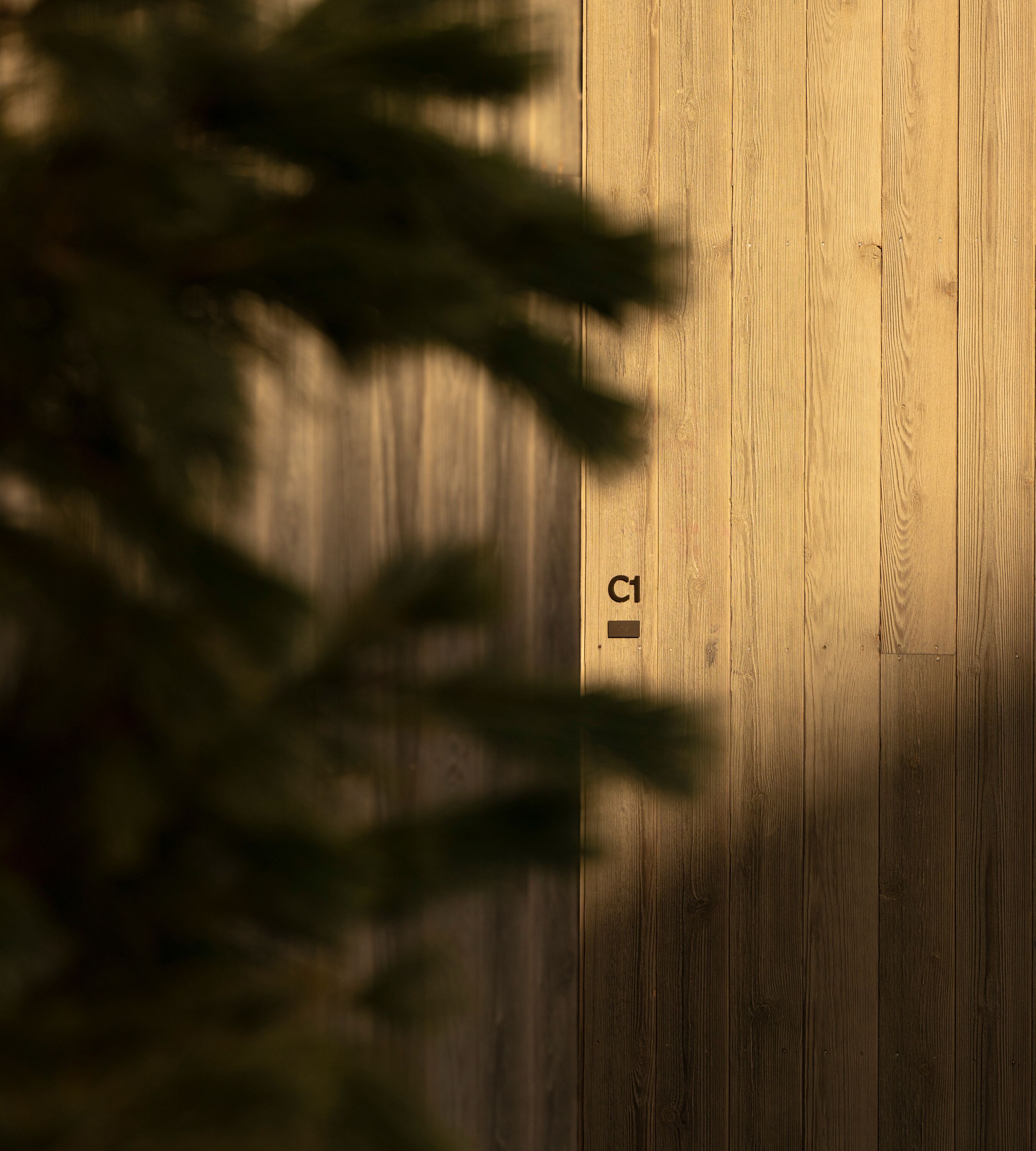 A wooden floor with a label marked 'C1'.