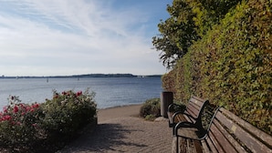 Un chemin pavé mène à un plan d’eau, avec un banc et un mur de verdure.