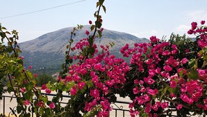 Une montagne, un ciel dégagé et des fleurs roses au premier plan.