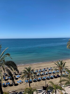 Ein Strand mit Liegestühlen, Palmen und freiem Blick auf den Ozean.