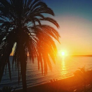 A sunset over water with palm trees. - 1. Skol Marbella 542C (Marbella)