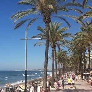 A coastal promenade lined with palm trees, a beach, and a crowd of people. - 1. Skol Marbella 544C (Marbella)