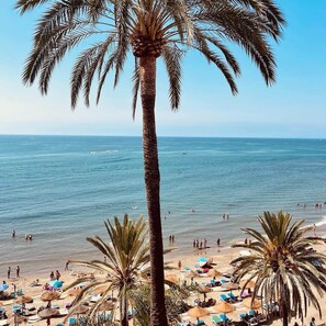 Ein Strand mit Palmen, blauem Himmel und dem Meer.