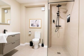 Hair dryer, towels, soap, toilet paper