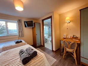 Twin Room (Ty Newydd Room 3)