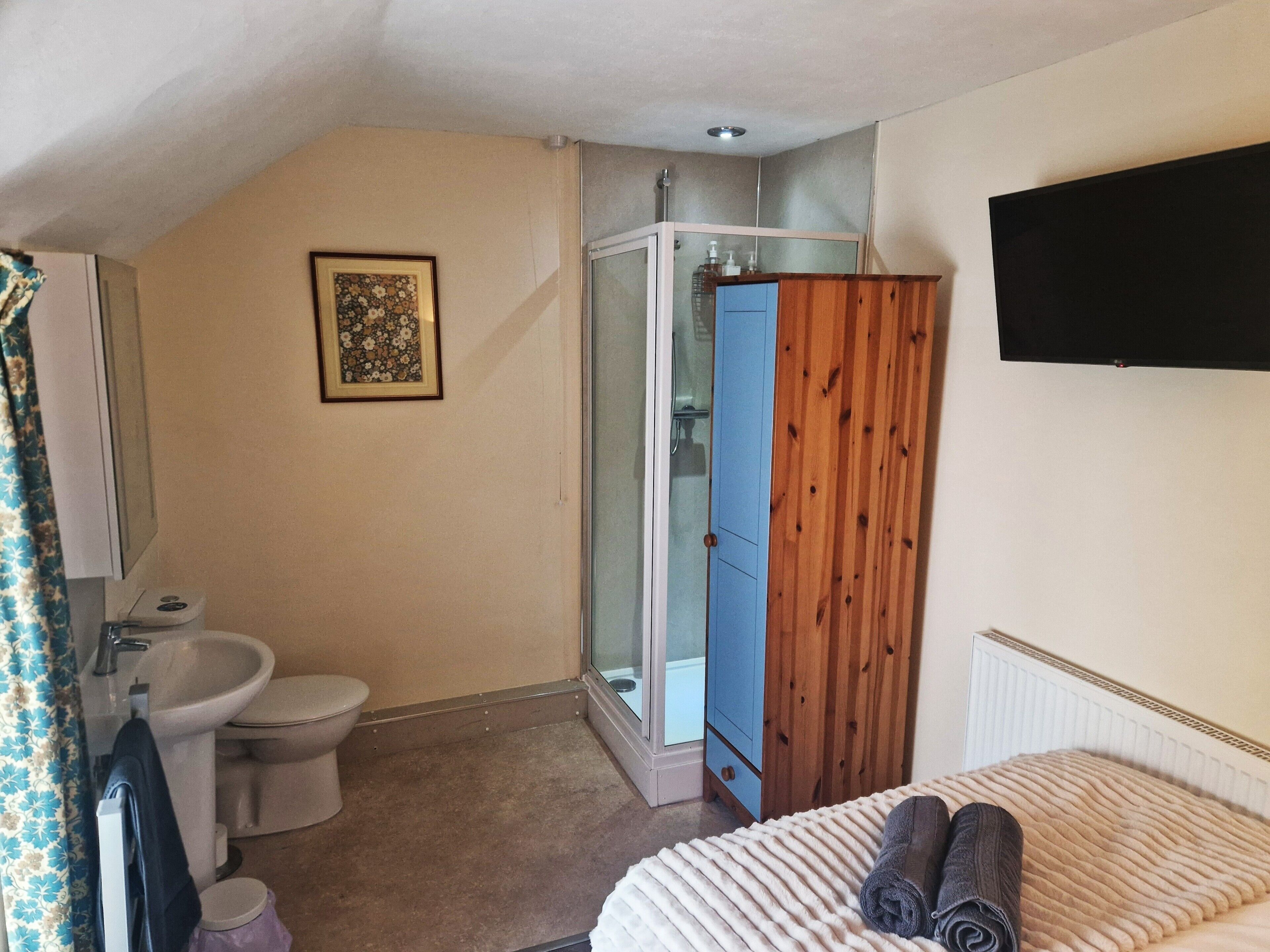 A bedroom with a bed, a shower, a toilet, and a sink.