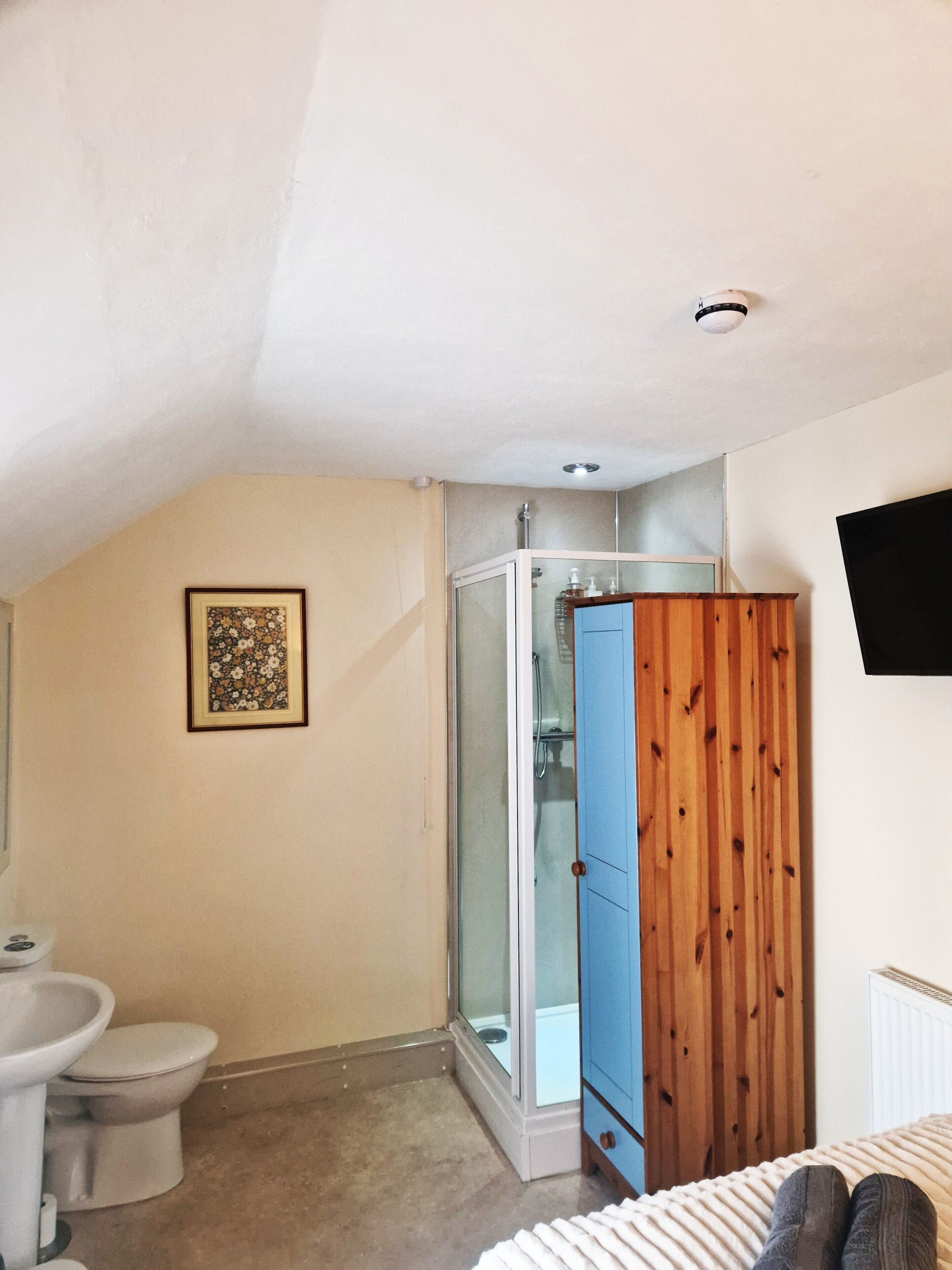 Ein Badezimmer mit Toilette, Dusche und einem Holzschrank.