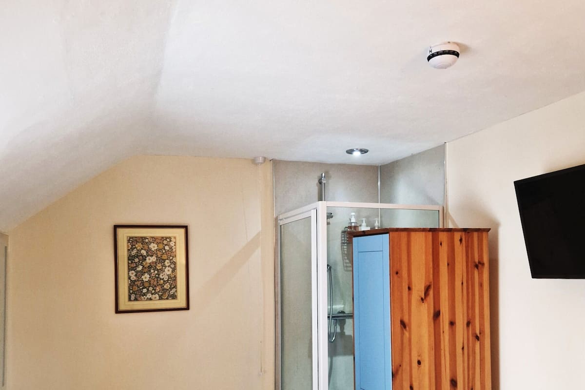 Un bagno con il water, una doccia e un armadio in legno.