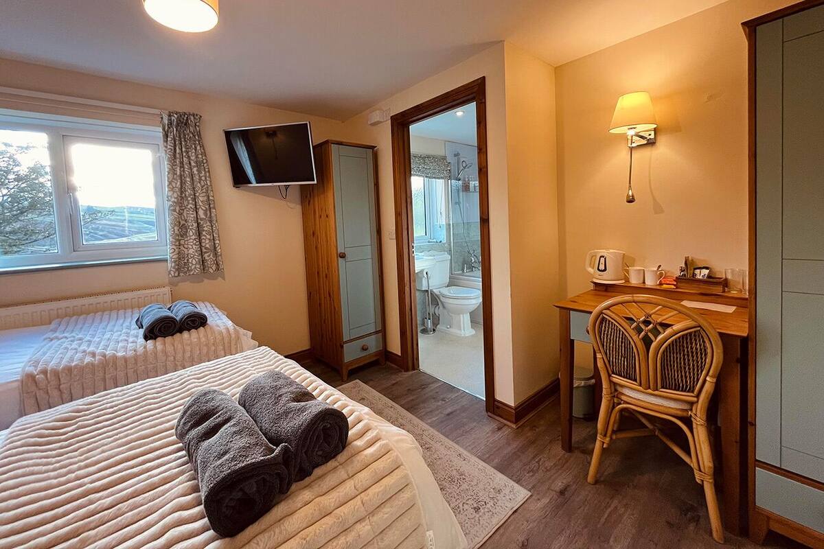 Twin Room (Ty Newydd Room 3)