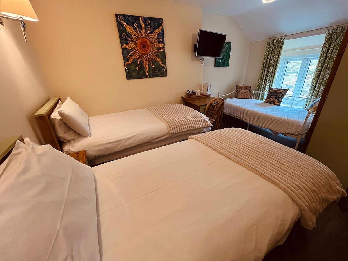Una habitación de hotel con dos camas, televisión, un cuadro y una ventana con cortinas.