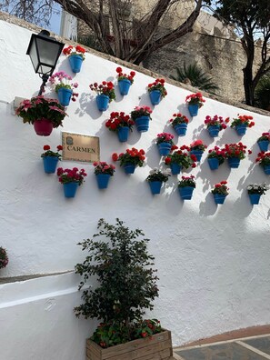 A white wall with multiple blue hanging flower pots, a wooden planter with red flowers, and a sign reading 'CARMEN'. - 2. Skol Marbella 337B (Marbella)