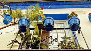A building with a blue and white facade, metal window bars, and three blue flower pots on the balcony. - 3. Parque Marbella 27B (Marbella)