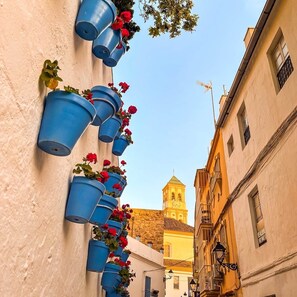 A narrow street with buildings on either side, a bell tower in the background, and blue flower pots on the wall. - 2. Skol Marbella 306A (Marbella)