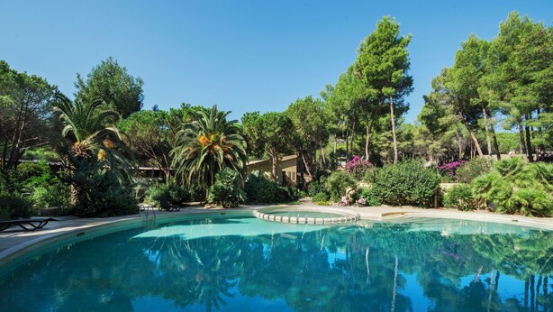 Une piscine d’un bleu éclatant, entourée d’une végétation luxuriante et d’arbres.