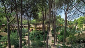 Un sentier de jardin bordé d’arbres et de plantes, menant à un bâtiment dont le toit est recouvert de tuiles.