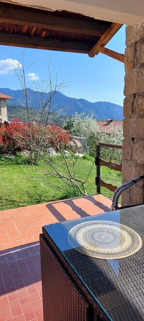 Terrace/patio - Le Serre 2 - Apartment in a detached house in the mountains (Belvédère)