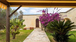 Ein gepflasterter Weg führt zu einem Gebäude mit einer hölzernen Pergola.