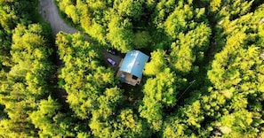 Eine Luftaufnahme eines Hauses, das von dichtem Grünwald umgeben ist, mit einer sichtbaren Auffahrt und einem geparkten Fahrzeug davor.