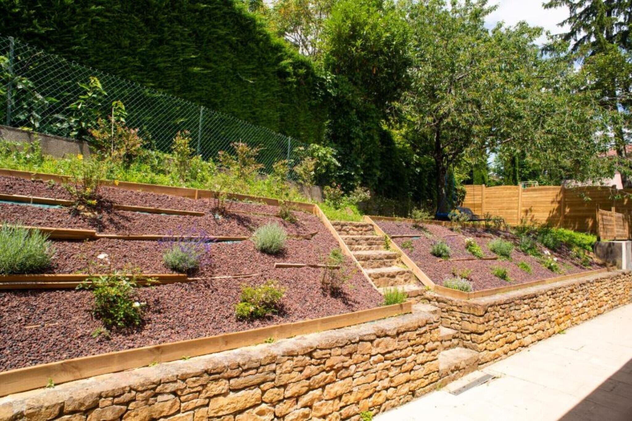 Área da propriedade