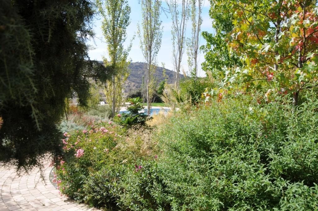 Un sentier de jardin bordé d’une végétation luxuriante, avec une vue lointaine sur une montagne.