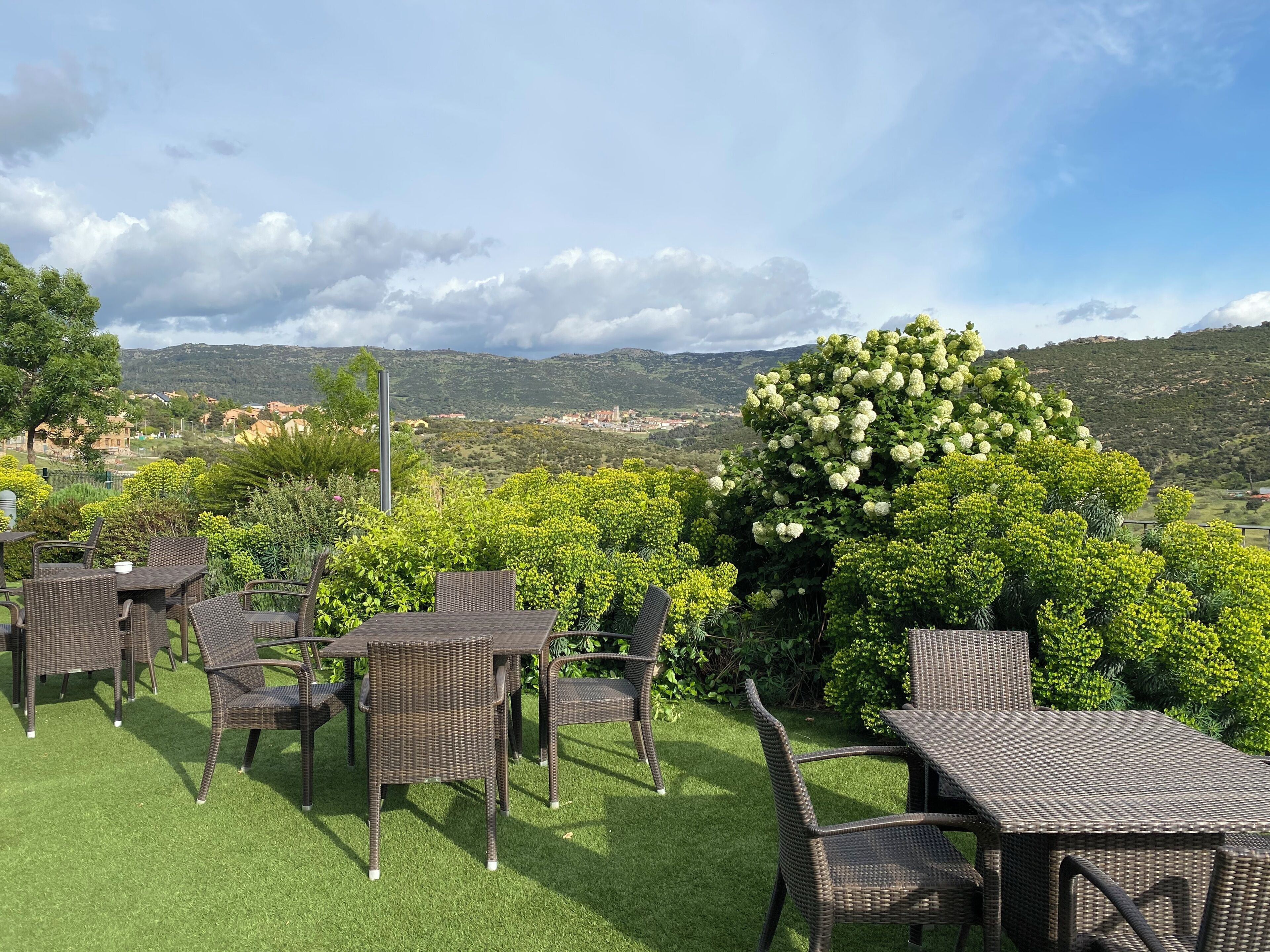 An outdoor seating area with wicker furniture and a view of a hill with a large white flower bush.