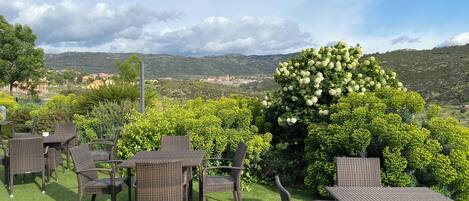 An outdoor seating area with wicker furniture and a view of a hill with a large white flower bush.