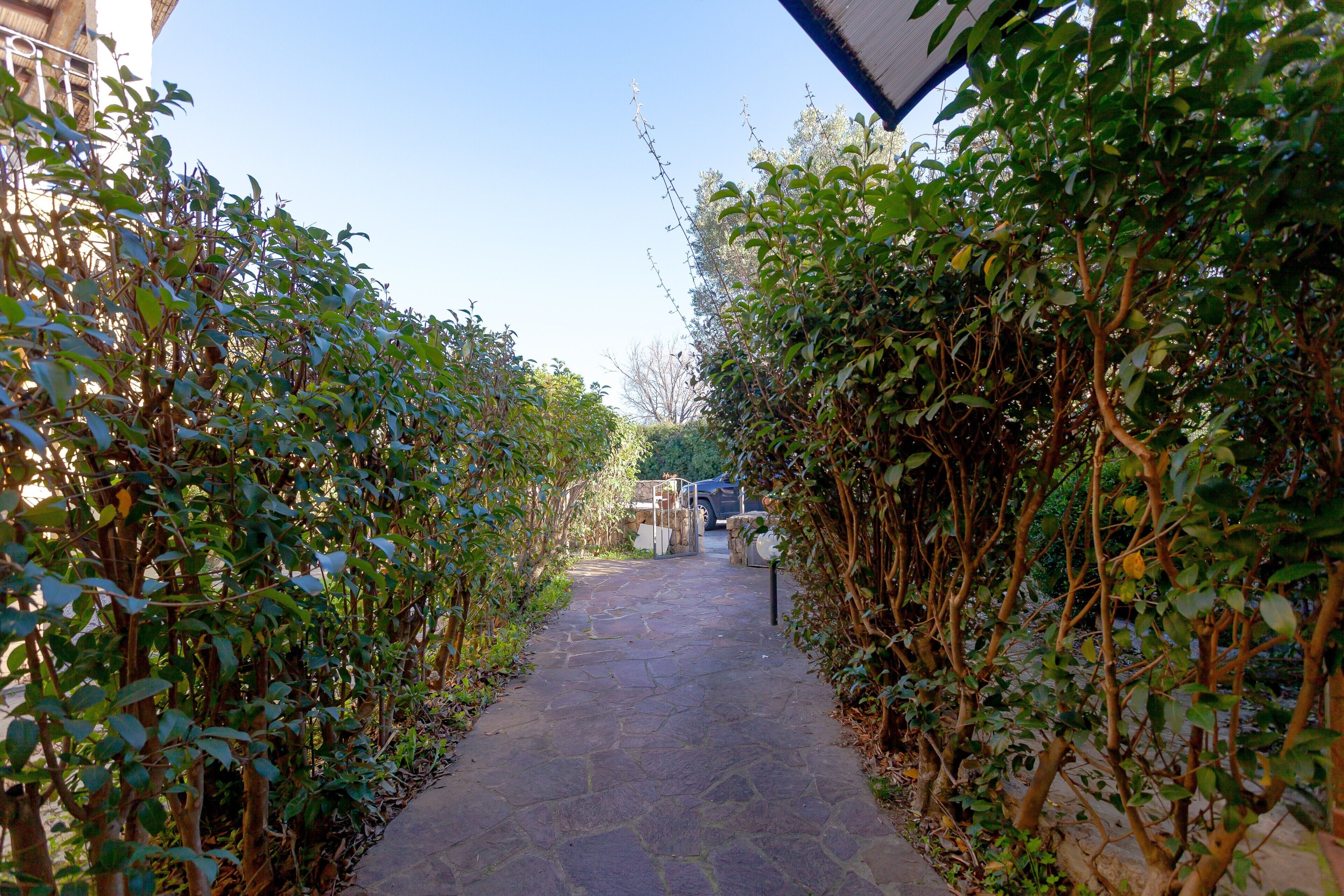 A stone pathway flanked by dense foliage, leading to a building entrance.