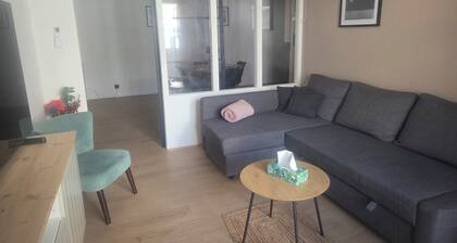 Grand Appartement centre D Agen avec climatisation et parking privé
