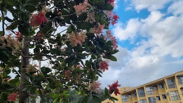 Family Apartment, Non Smoking, Pool View | Property grounds