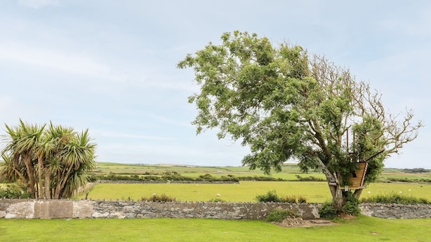 A rural landscape with a stone wall, a tree with a wooden structure, and a grassy field. - Bodlasan Groes Cottage (Holyhead)