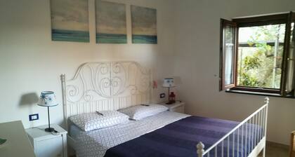 The Mandra cottage among the olive trees