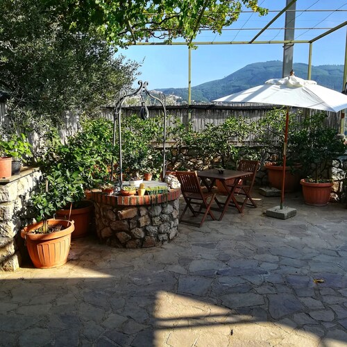 The Mandra cottage among the olive trees