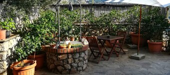 The Mandra cottage among the olive trees