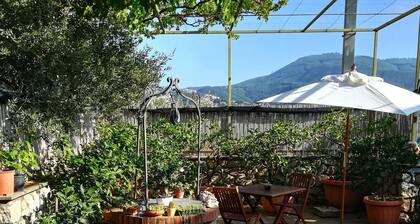 The Mandra cottage among the olive trees