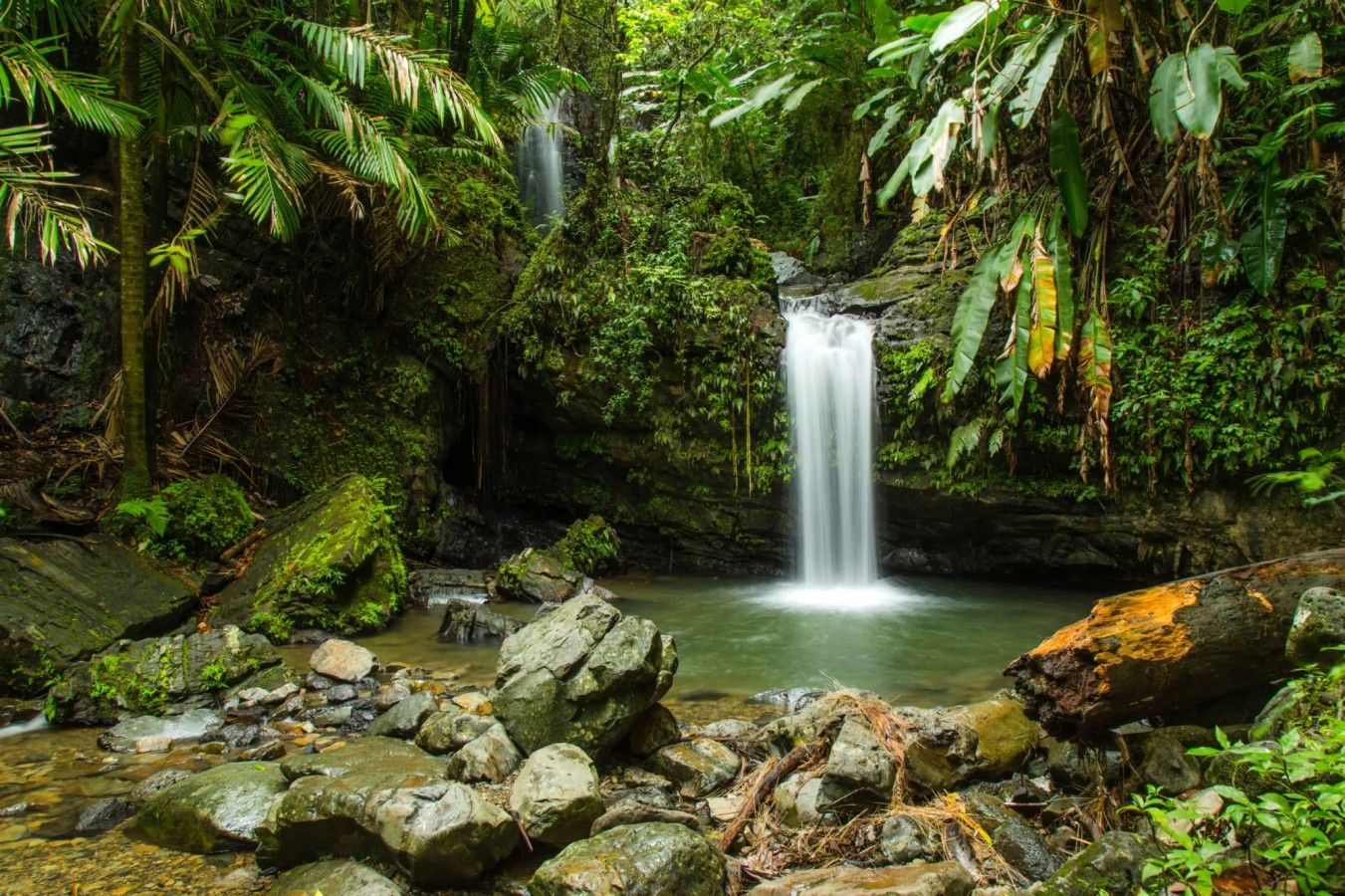Une cascade entourée d’une végétation luxuriante et de rochers.