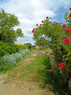 Property grounds - Spacious bedroom studio in gorgeous Veli Lošinj with AC (Veli Lošinj)