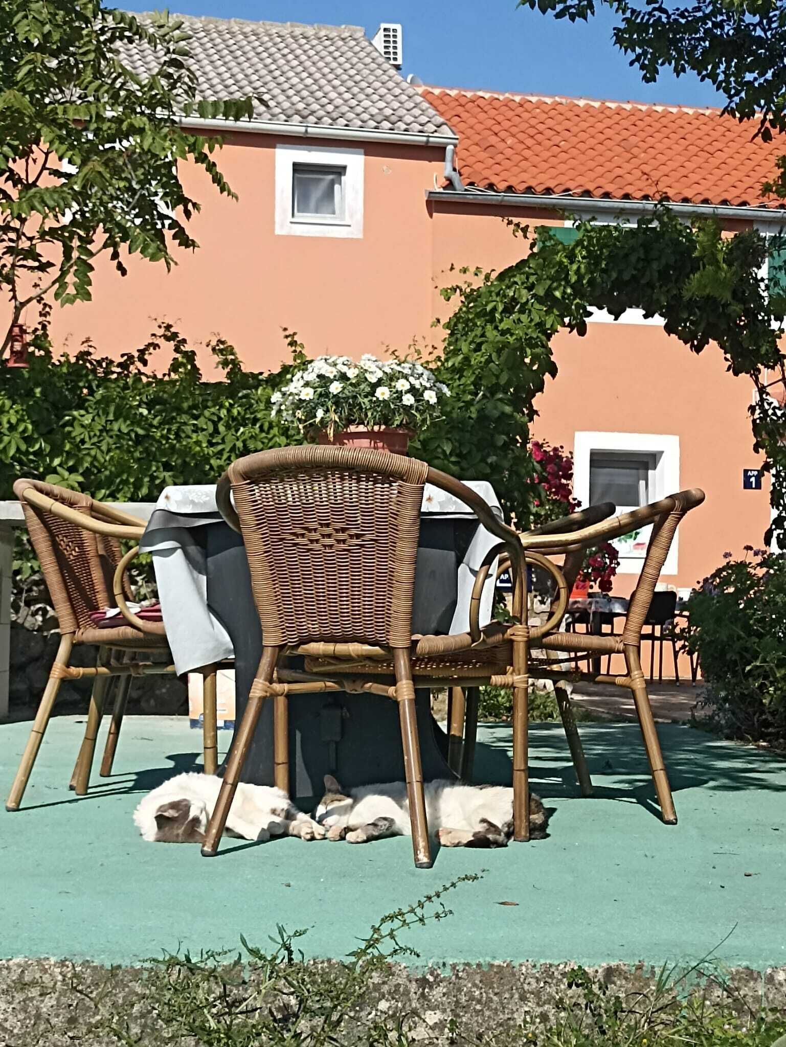 Un patio con mobiliario de mimbre, una parrilla y un perro acostado en el suelo.