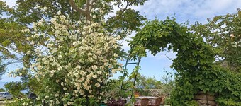 Spacious bedroom studio in gorgeous Veli Lošinj with AC