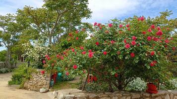 Overnattingsstedets uteområder