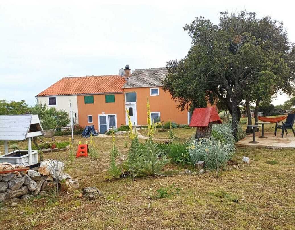 A house with a tiled roof, a garden with various plants, a tree, and a hammock.