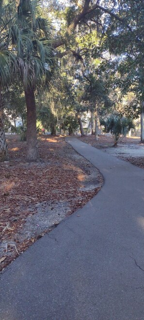 Property grounds - Charming 3-bedroom townhome at Egret Point in Shipyard Plantation Hilton Head SC (Hilton Head Island)