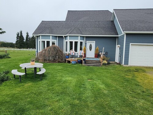 Sunny Farm Stay • Horses & Chickens • On the ODT