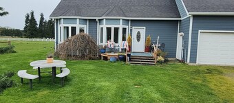 Sunny Farm Stay • Horses & Chickens • On the ODT