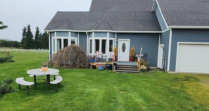 Sunny Farm Stay • Horses & Chickens • On the ODT