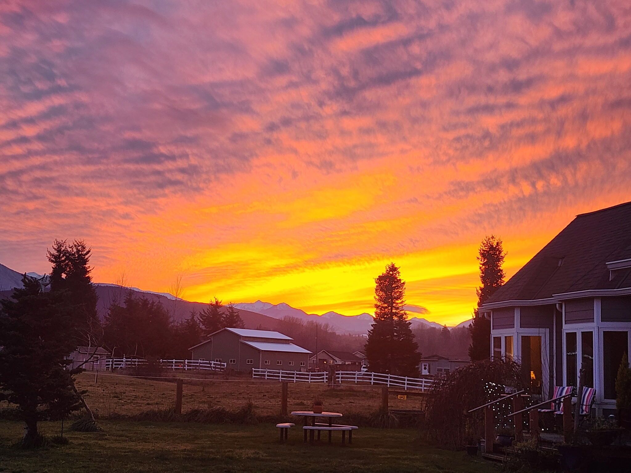 屋外ダイニングエリア