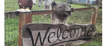 Sunny Farm Stay • Horses & Chickens • On the ODT