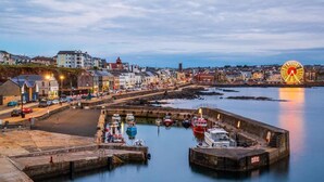 Una località costiera con un porto, barche e una ruota panoramica ben visibile.